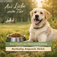 Duck, Fruit & Vegetables: Ansicht 7