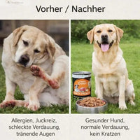 Happy Deer - Hirsch mit Karotte, Apfel & Grünlippmuschel (1x800g): Ansicht 7