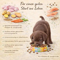 Huhn, Truthahn, Lachs (60%) & Gemüse (Für Welpen): Ansicht 2