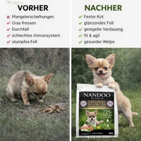 Geflügel mit Gartenkräutern & Gemüse (mit 60% von Pute & Ente) - kleine Rassen: Ansicht 7