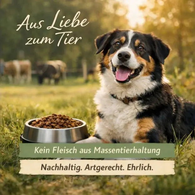 Angus Rind & Gartengemüse NANDOO