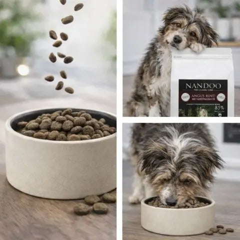 Angus Rind & Gartengemüse NANDOO