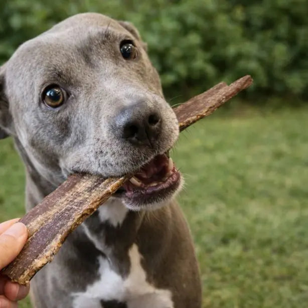 Beef Snack - Rinderdörrfleisch / Rinder-Schlund  30cm 250g NANDOO