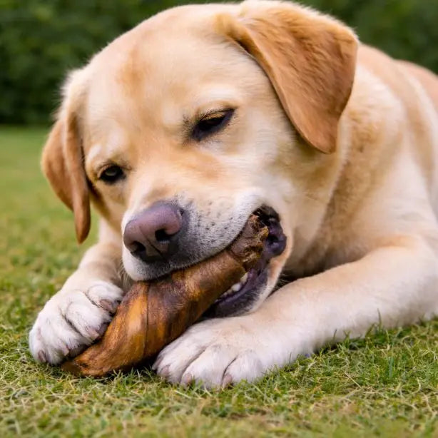 Büffelhaut-Natur 250g NANDOO