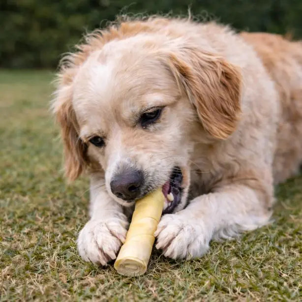 Büffelhaut-Rolle 250g NANDOO