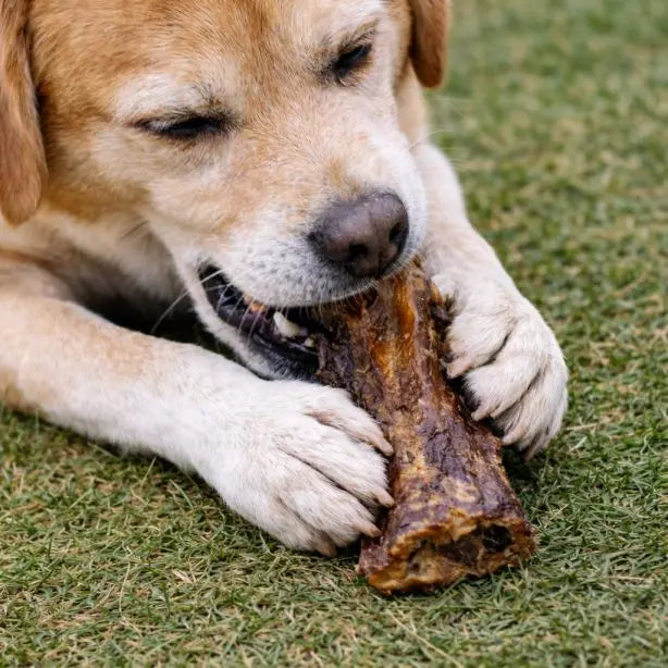 Büffel-Nackensehne 250g NANDOO