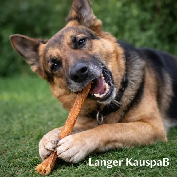 Büffel-Sehnen 250g NANDOO