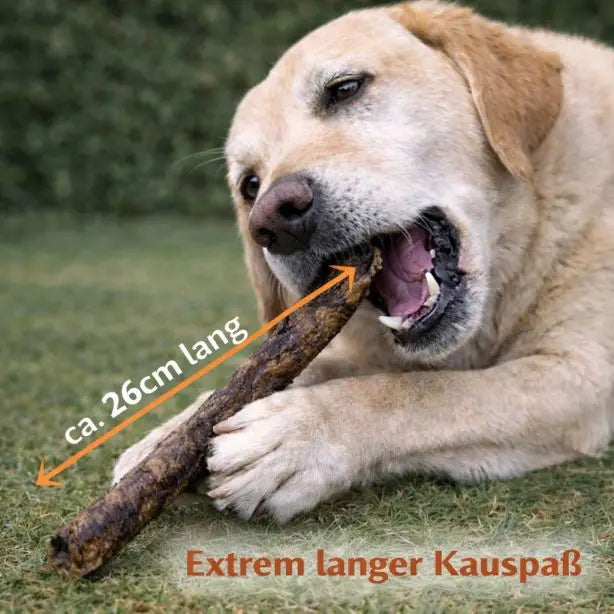 Büffel-Strossen von NANDOO, 250g, natürliche Hundeleckerli aus Büffelfleisch, knusprig und proteinreich.