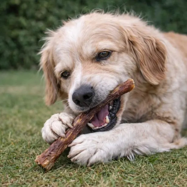 Büffel-Venen 250g NANDOO