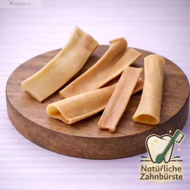 NANDOO Denta Chips 250g, Hundesnacks mit knusprigen Kieferpflege-Chips, in der Verpackung sichtbar