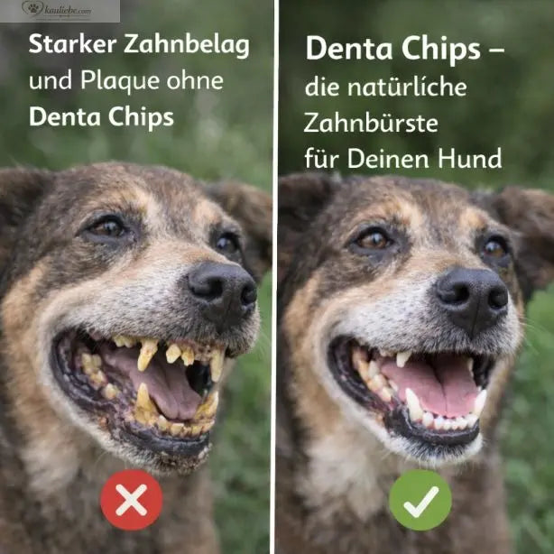 NANDOO Denta Chips 250g, knusprige Hundekekse mit Zahnreinigungseffekt, in einer geöffneten Verpackung.