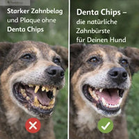 Denta Chips 250g: Ansicht 4