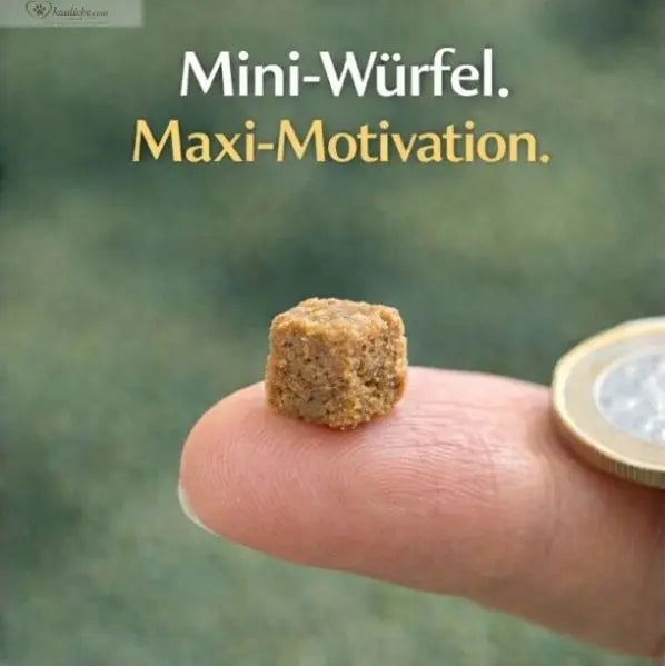 Knusper-Lecker Dorsch 250g (1cm) NANDOO