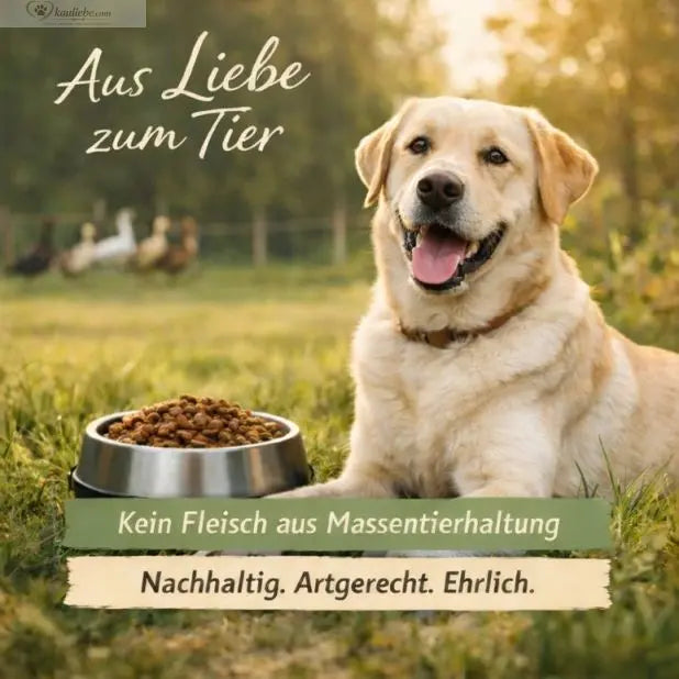 Ente, Obst & Gemüse NANDOO