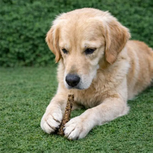 Fischstäbchen 250g NANDOO