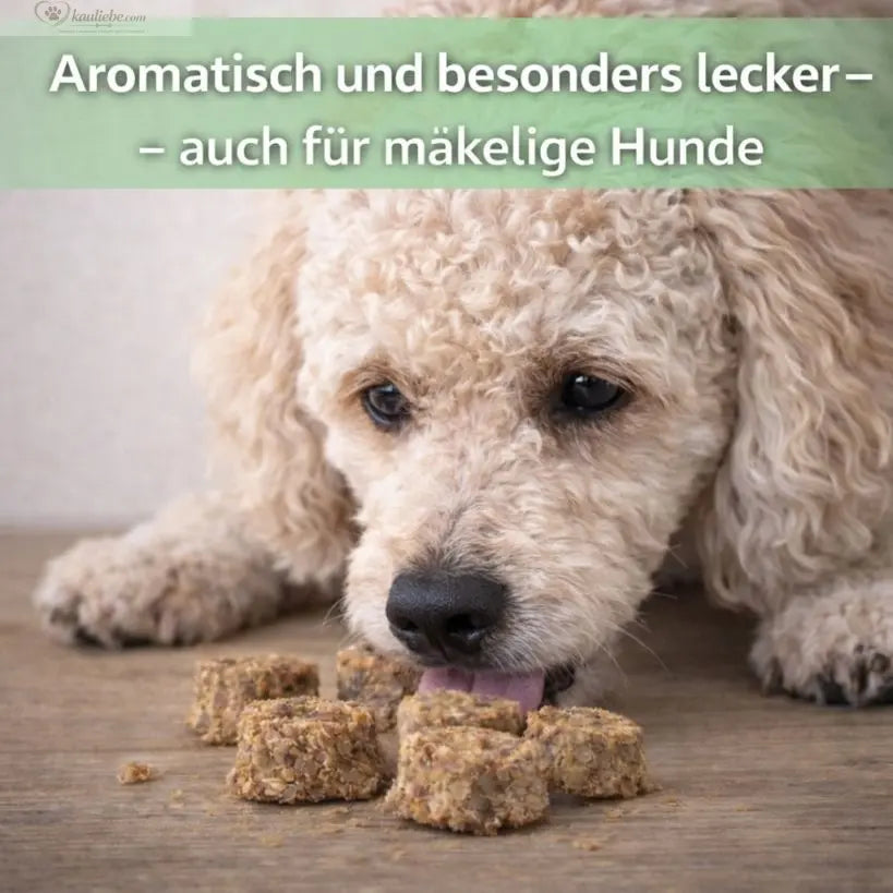 NANDOO Fischtaler Dorsch, 250g, frisch und aromatisch, zeigt die goldbraune Oberfläche und zarte Fischfilets innen.