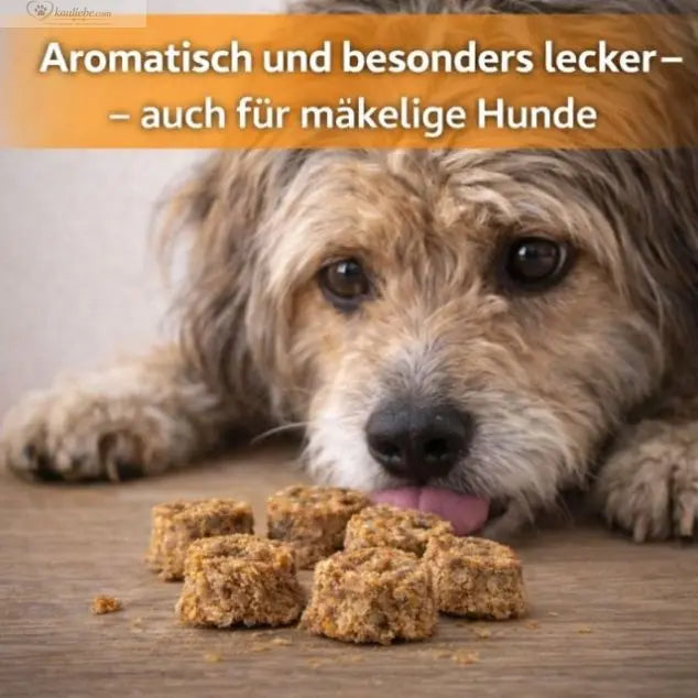NANDOO Fischtaler Dorsch mit Flunder, 250g, frisch und aromatisch, auf einem Teller mit Zitrone und Beilagen.