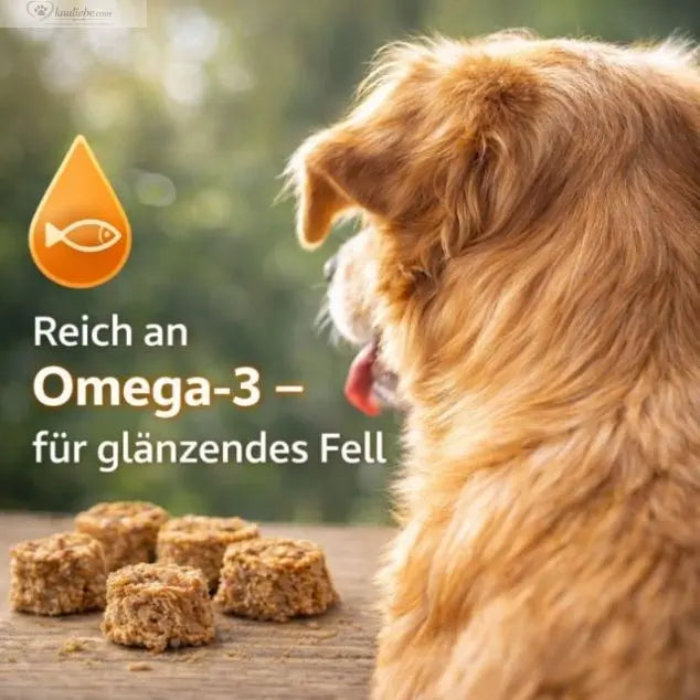 NANDOO Fischtaler Dorsch 250g auf einem Teller, frisch und goldbraun gebraten, serviert mit Zitronenscheiben.