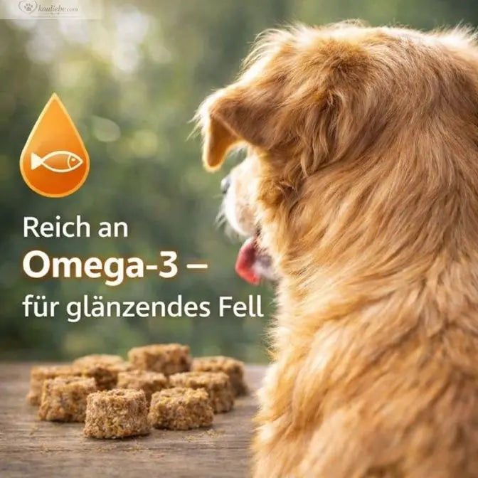 Fisch-Taler Dorsch mit Forelle von NANDOO, 250g, Frischer Fisch in Scheiben auf einem Teller, appetitlich präsentiert.