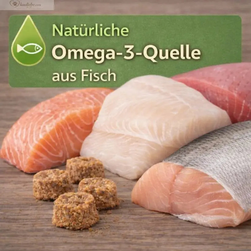 NANDOO Fischtaler mit Dorsch und Hering, 250g, frisch und lecker, auf einem weißen Teller mit Zitrone und Salat.