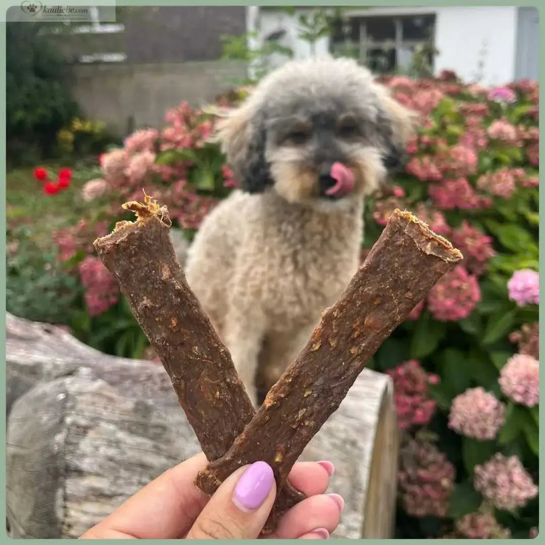 Reh-Fleischstreifen von NANDOO, 250g, frisch und mager, ideal für Hundeleckerlis oder tierische Snacks.