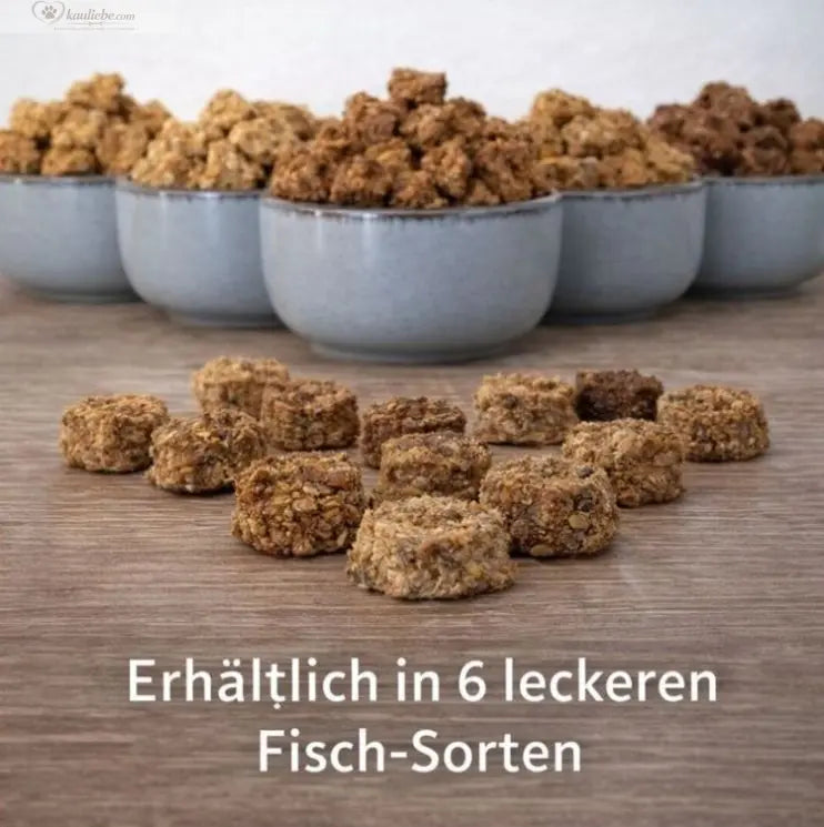 NANDOO Fischtaler Dorsch mit Forelle, 250g, auf weißem Hintergrund, frisches Fischfilet, appetitlich angerichtet