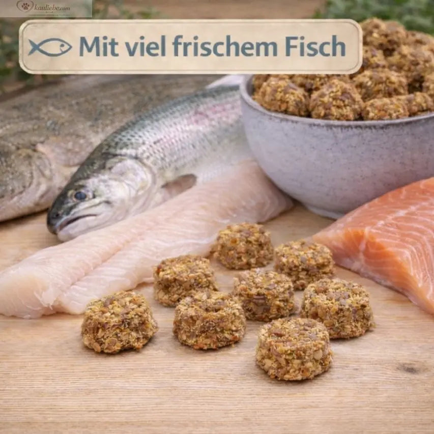 Frischer Fischtaler Dorsch mit Forelle von NANDOO, 250 g, auf einem Teller mit frischen Fischfilets und Zitronenscheiben.