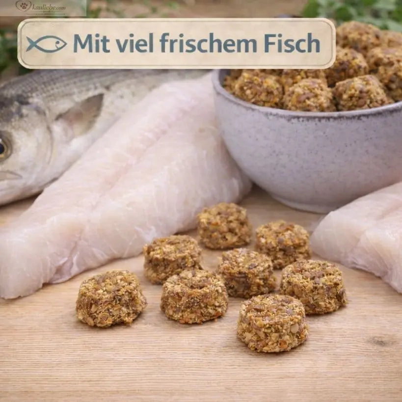 Frischer Dorsch-Fisch in 250g Packung von NANDOO, detailreiche Nahaufnahme der Fischfilets