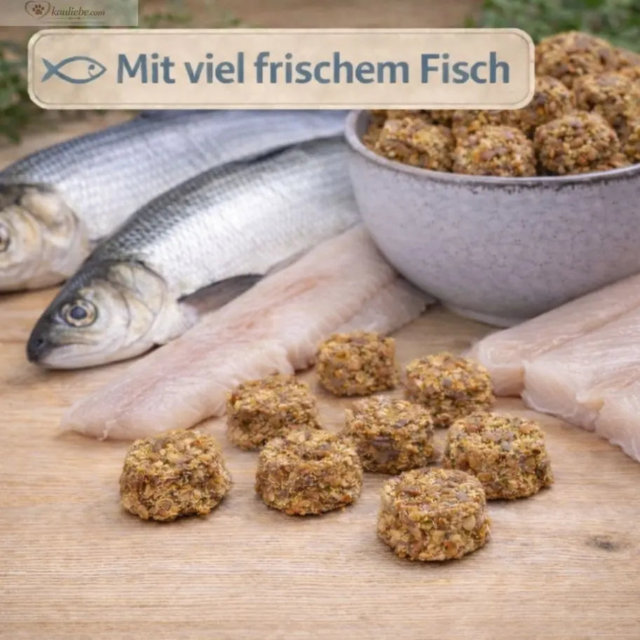 Frischer Dorsch mit Makrele, 250g, von NANDOO, auf einem Teller mit Fischfilets und Meersalz, Nahaufnahme