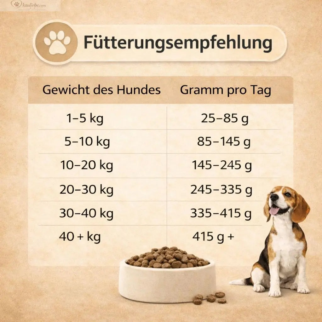 NANDOO Lachs, Forelle und Süßkartoffel Futterempfehlung, frisch und lecker für Hunde oder Katzen, auf weißem Hintergrund.