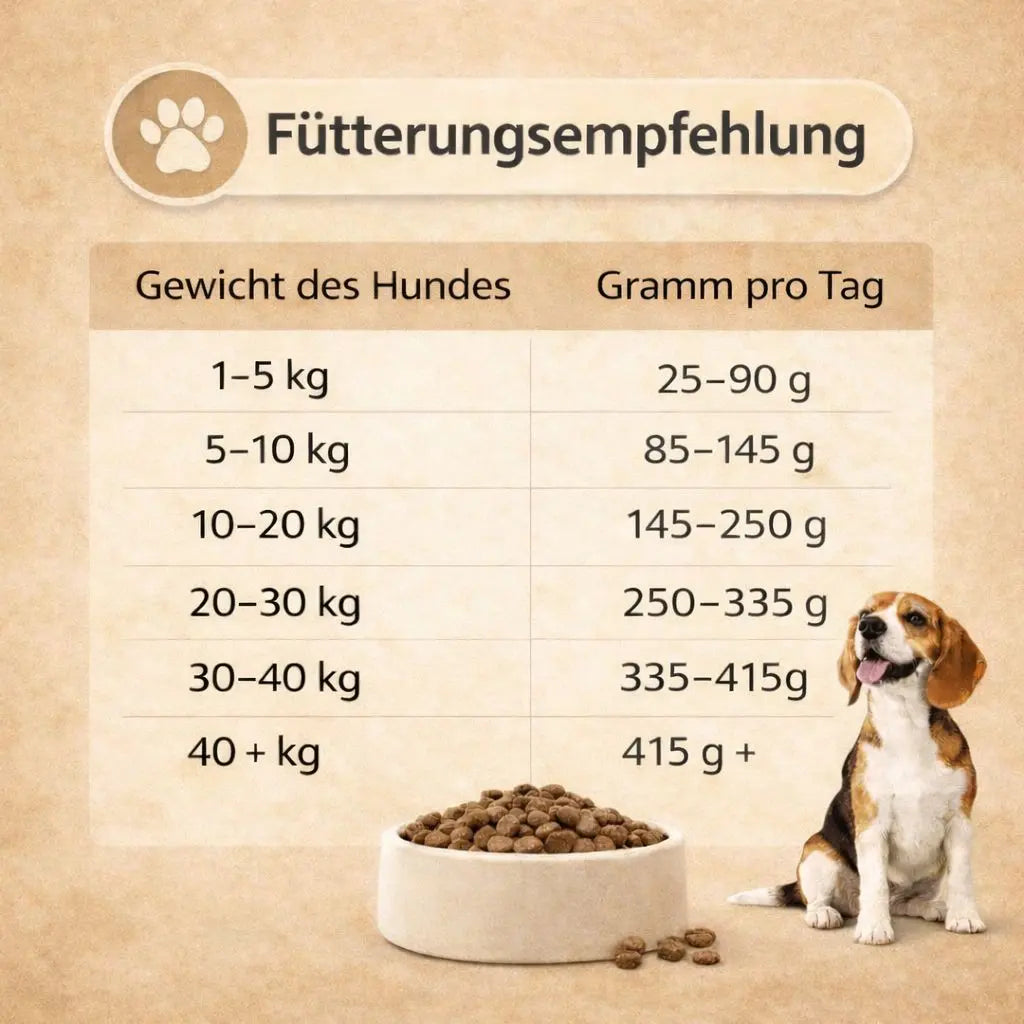 NANDOO Lamm- und Gemüsefutter, frisch serviert in einer Schüssel mit Gemüse und Lammfleisch, ideal für Hunde.