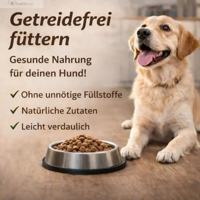Getreidefreies Trockenfutter für Hunde mit Lamm und Gemüse von NANDOO, Nahaufnahme der Verpackung und Zutaten.