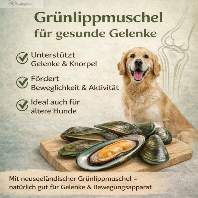 NANDOO Happy Beef Rind mit Karotte, Birne und Grünlippmuschel, 400g, frisches Hundefutter in Schüssel