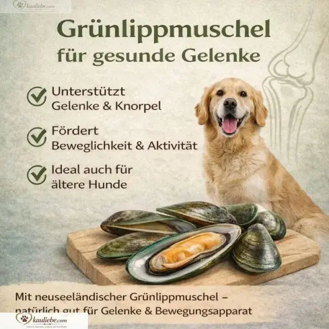 NANDOO Happy Beef Rind mit Karotte, Birne und Grünlippmuschel, 6x400g, hochwertiges Hunde-Futter in Schalen