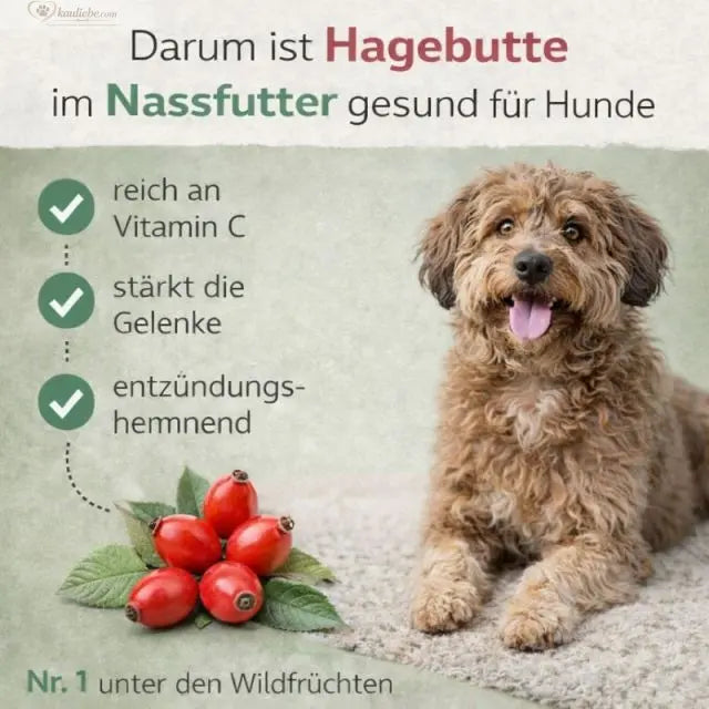 Hundefutter Happy Beef Rind mit Karotte, Birne und Grünlippmuschel in 400g Packung, nährstoffreiche Mahlzeit von NANDOO
