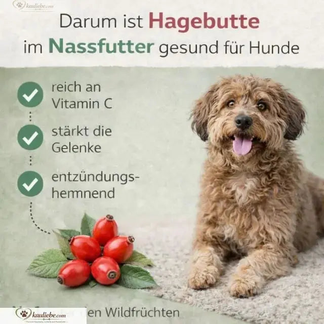 Hundefutter von NANDOO, Happy Beef Rind mit Karotte, Birne und Grünlippmuschel, 6x400g, in einer Schale mit Futter und Zutaten.