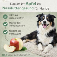 Happy Chicken - Huhn mit Karotte & Apfel (1x400g): Ansicht 6
