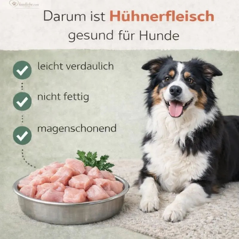 Hühnchen mit Karotte und Apfel von NANDOO, 6x400g, frisches Hundefutter in natürlicher Verpackung