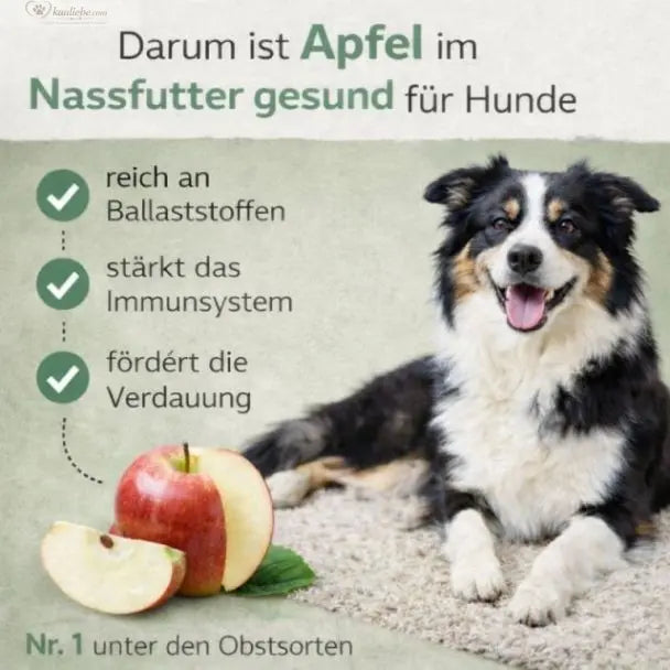 Hirsch mit Karotte, Apfel und Grünlippmuschel von Happy Deer, 400g, Hundesnack, natürliche Tiernahrung, NANDOO.