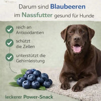 Happy Deer - Hirsch mit Karotte, Apfel & Grünlippmuschel (1x800g): Ansicht 5