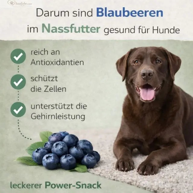 Hirsch mit Karotte, Apfel und Grünlippmuschel in Napf, von NANDOO, für Hunde, 6x400g, natürliche Tiernahrung
