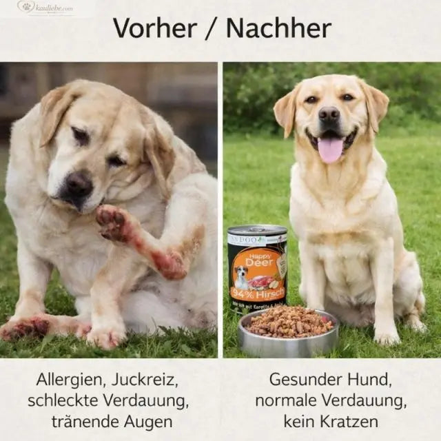 Hirsch mit Karotte, Apfel und Grünlippmuschel von Happy Deer, in einer Schüssel auf weißen Hintergrund, für Hunde.
