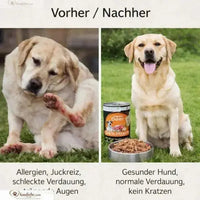 Happy Deer - Hirsch mit Karotte, Apfel & Grünlippmuschel (6x400g): Ansicht 7