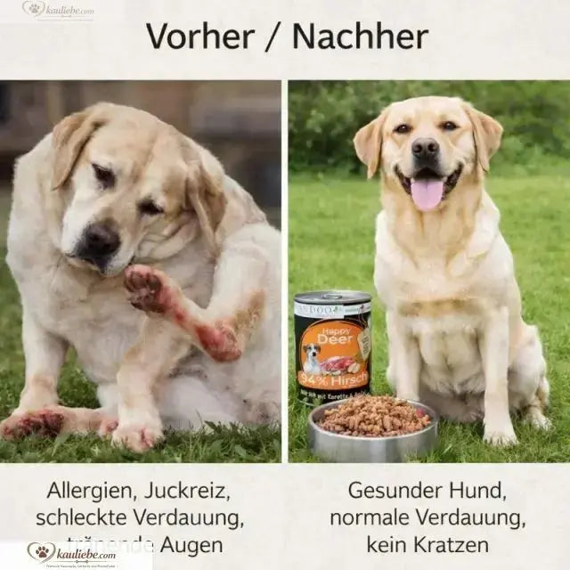 Hirschfutter von NANDOO mit Karotte, Apfel und Grünlippmuschel, 6x400g, natürliche Tiernahrung für Hunde.