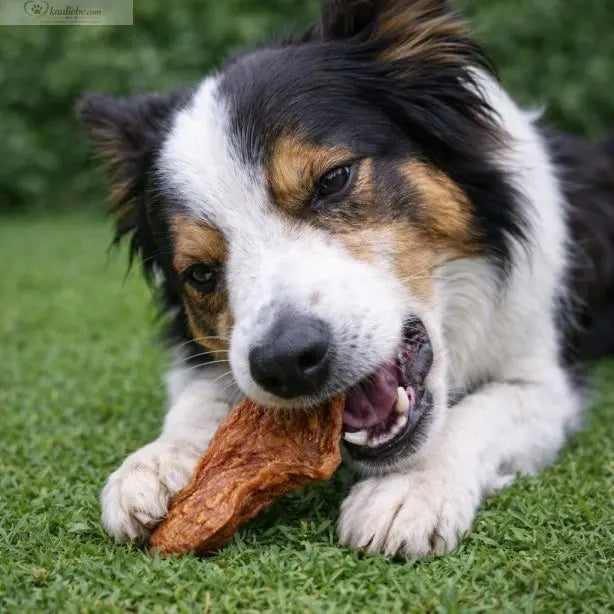 Crispy Chicken - Hühnerbrustfilet 250g NANDOO