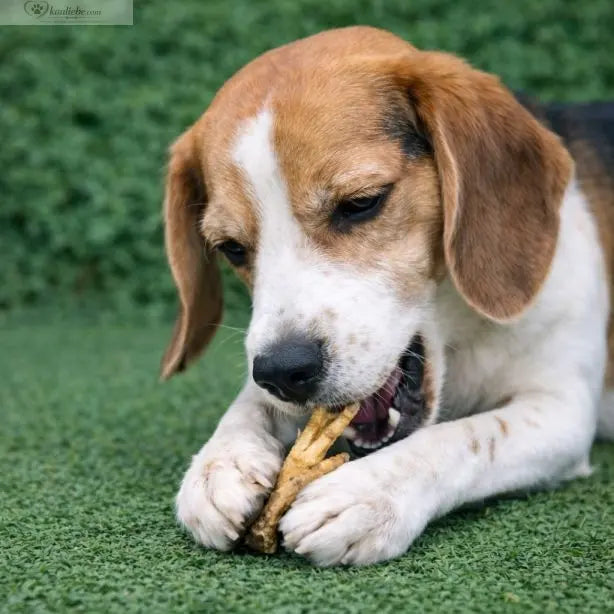 Hühnerfüße 250g NANDOO