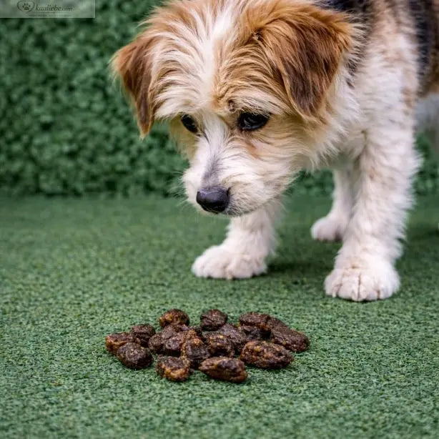 Hühnerherzen 250g NANDOO