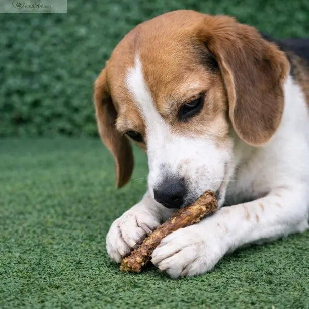 NANDOO Hühnerhälse, 250g, natürliche Hundesnacks, knusprige getrocknete Hühnerhälse für Hunde, in der Verpackung sichtbar