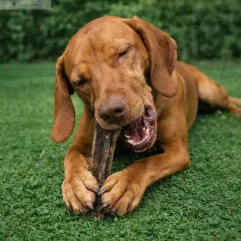 Hirschhaut Natur 250g NANDOO