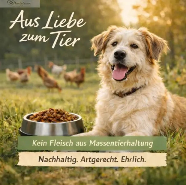 Huhn & Gartenkräutern NANDOO